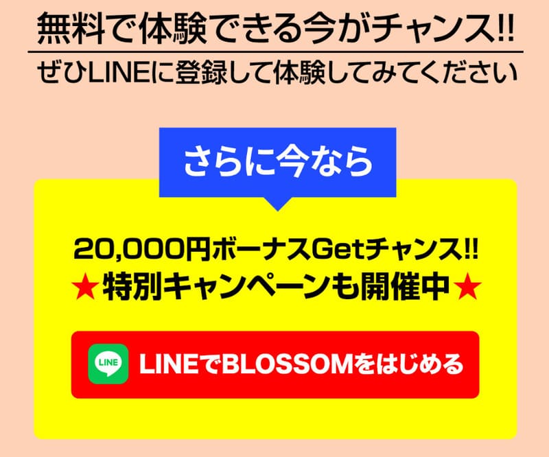 Blossom(ブロッサム)
株式会社digitalA
千葉祐介